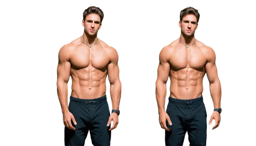 obliques,sidharth,six pack abs,sixpack,abdominis,vijender,shirtless,derivable,abdominals,male poses for drawing,body building,pectorals,clenbuterol,fitnes,shahid,torso,athletic body,abdominal,abdomens,natekar,Illustration,Vector,Vector 11