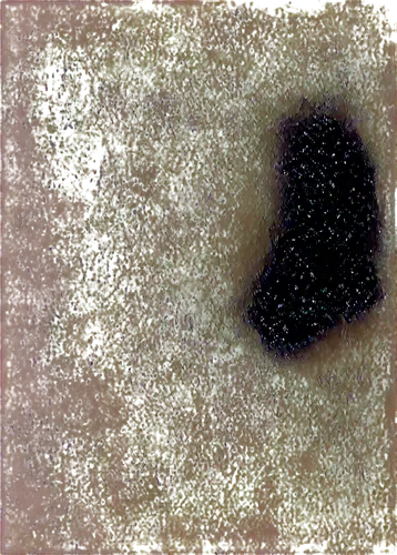 bear footprint,vulpeculae,protoplanetary,generated,pinholes,eighth note,mandelbrot,globule,planet alien sky,methone,microlensing,globules,bitumen,vulpecula,venus surface,marpat,footprint,entamoeba,asteroidal,micrometeoroid,Illustration,Abstract Fantasy,Abstract Fantasy 08