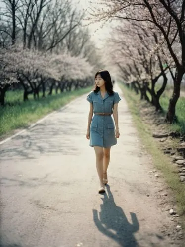 woman walking,girl walking away,girl in flowers,i walk,lubitel 2,girl in a long,spring background,walking,girl with tree,japanese woman,walk,walk in a park,takato cherry blossoms,mari makinami,springtime background,portrait photography,meadow rues,countrygirl,girl in a long dress,art photography,Photography,Documentary Photography,Documentary Photography 02