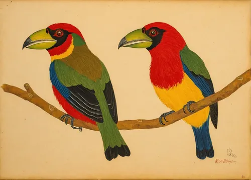 passerine parrots,couple macaw,parrot couple,golden parakeets,macaws of south america,yellow-green parrots,parrots,macaws,tropical birds,toucans,rare parrots,bird couple,colorful birds,rainbow lorikeets,lorikeets,keel billed toucan,macaws blue gold,keel-billed toucan,goldfinches,bird painting,Art,Artistic Painting,Artistic Painting 47