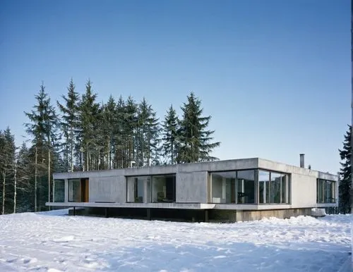 a house with a long line of windows sitting in the snow,aalto,eichler,gwathmey,snow house,docomomo,mies,Photography,Documentary Photography,Documentary Photography 12