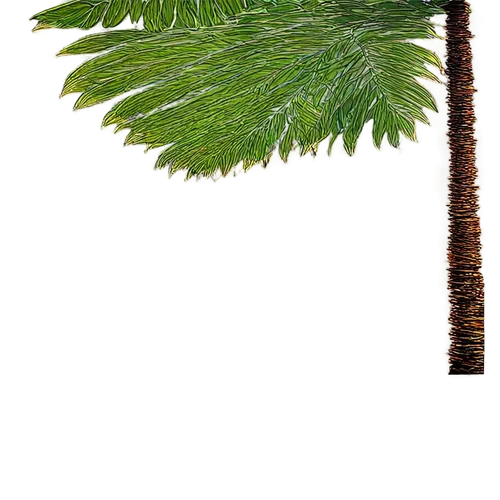 fir needles,fir branch,pine tree,fir tree,pine needles,norfolk island pine,pine tree branch,pine needle,pine branch,douglas fir,spruce tree,christmas pine,fir tree decorations,fir-tree branches,watercolor pine tree,fir branches,fir trees,spruce needles,kerschbaum,nordmann fir,Illustration,Japanese style,Japanese Style 06