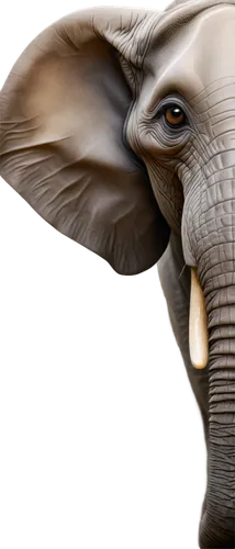 african bush elephant,african elephant,elephant,asian elephant,elephantine,elephant tusks,circus elephant,indian elephant,pachyderm,elephants and mammoths,mandala elephant,tusks,african elephants,elephants,elephant kid,girl elephant,stacked elephant,elephant toy,cartoon elephants,elephant's child,Art,Artistic Painting,Artistic Painting 34