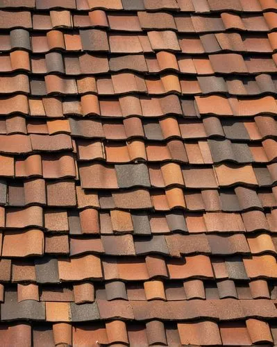 roof tiles,roof tile,tiled roof,terracotta tiles,house roofs,clay tile,shingled,house roof,roof landscape,slate roof,the old roof,tiles shapes,rooflines,shingles,roofs,roofing,roofline,roof plate,almond tiles,dormer,Illustration,American Style,American Style 05