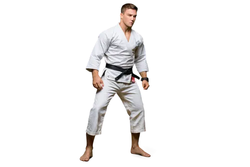 martial arts uniform,judo,kenjutsu,marine corps martial arts program,shidokan,karate,haidong gumdo,shorinji kempo,black belt,daitō-ryū aiki-jūjutsu,jujitsu,tang soo do,taekwondo,taekkyeon,dobok,buchardkai,aikido,brazilian jiu-jitsu,sōjutsu,martial arts,Illustration,American Style,American Style 08