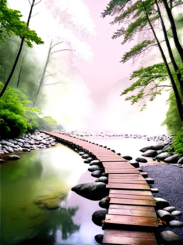 wooden bridge,nature background,landscape background,the mystical path,wooden path,pathway,3d background,nature wallpaper,scenic bridge,background view nature,the way of nature,adventure bridge,walkway,tranquility,the path,flooded pathway,winding steps,forest path,cartoon video game background,throughway,Illustration,Vector,Vector 15