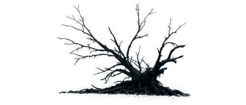 creepy tree,isolated tree,magic tree,forest dark,mycorrhizal,dendrite,mycorrhizae,dendritic,ghost forest,patronus,ignagni,forest tree,mycorrhiza,old tree silhouette,burnt tree,burning tree trunk,carcosa,tree silhouette,dead tree,bitterroots,Illustration,Black and White,Black and White 20