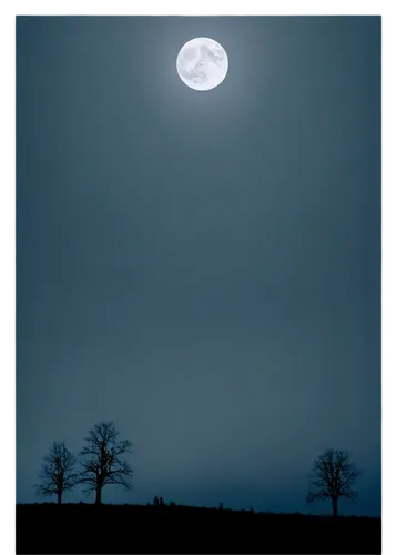 moonlit night,moon and star background,moonlighted,moonlit,blue moon,full moon,moonglow,full moon day,moon night,lune,moonlite,moonbow,hanging moon,moonstruck,moonscape,moonshadow,moonrise,moonbeams,moonwatch,imbolc,Conceptual Art,Sci-Fi,Sci-Fi 25