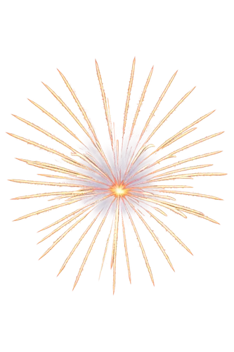 sunburst background,fireworks background,fireworks rockets,pyrotechnic,netburst,airburst,firework,shower of sparks,fireworks art,flying sparks,fireworks,star anemone,sparks,particle,oriflamme,missing particle,sparkler,electric arc,pyrotechnics,diwali background,Unique,Paper Cuts,Paper Cuts 01