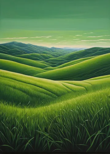 green landscape,green fields,ricefield,green wheat,green valley,barley field,green grain,green grass,straw field,green meadow,landscape background,green background,grasslands,grassland,rural landscape,rice fields,farm landscape,rolling hills,salt meadow landscape,cropland,Photography,Documentary Photography,Documentary Photography 08