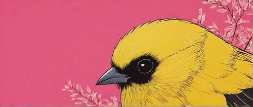 Http Www Bhmpics Com View Yellow Bird And Pink Background 1280x768 Html,yellow winter finch,finch bird yellow,golden finch,yellow finch,flower and bird illustration,bird painting,canary bird,bird illu