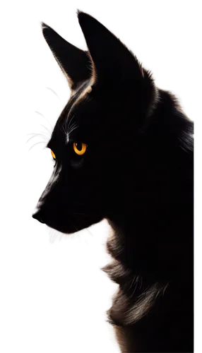 shadowclan,ravenpaw,brambleclaw,riverclan,thunderclan,starclan,tigerstar,skyclan,blackwolf,windclan,graystripe,firecat,black shepherd,wolpaw,werewolve,pyewacket,loup,scourge,fireheart,yellow eyes,Illustration,Vector,Vector 02