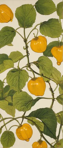 Imagine a futuristic world where groundcherries are the primary energy source. Describe a bustling metropolis powered by these unique fruits.,lemon wallpaper,mandarin leaves,kumquats,physalis,botanica