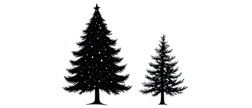 fir tree silhouette,fir trees,fir tree decorations,spruce trees,fir forest,evergreen trees,coniferous forest,fir needles,christmas trees,spruces,tree lights,pine trees,coniferous,derivable,christmas tree pattern,evergreens,tannenbaum,fir tree,nordmann fir,fir-tree branches,Illustration,Paper based,Paper Based 20