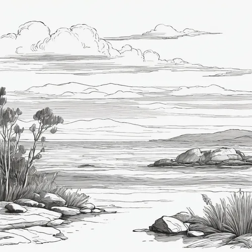 coastal landscape,beach landscape,edward lear,an island far away landscape,shore line,landscape with sea,beach scenery,beachcombing,sea landscape,sea-shore,swampy landscape,karst landscape,arid landscape,small landscape,estuary,seaside view,cliff dwelling,foreshore,coastline,landscape,Illustration,Black and White,Black and White 29