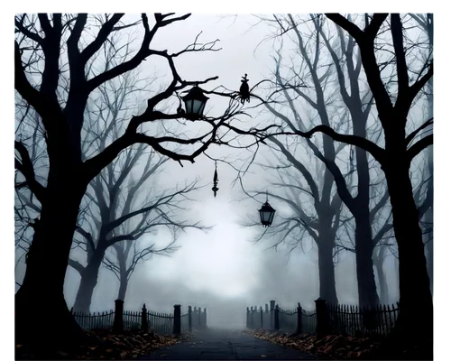 halloween background,halloween bare trees,haunted forest,halloween frame,halloween scene,halloween wallpaper,halloween border,halloween poster,halloween silhouettes,halloween illustration,cartoon video game background,hauntings,dark park,halloween and horror,ghost forest,autumn fog,haunt,hallows,background vector,halloween ghosts,Illustration,American Style,American Style 09