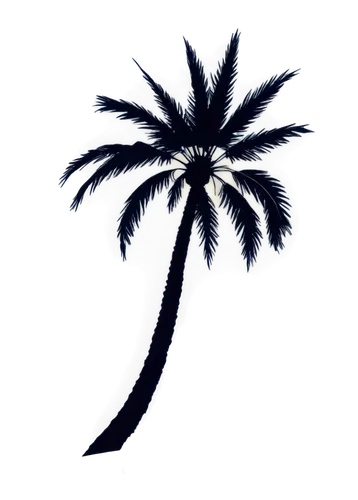 palm tree vector,palm tree silhouette,palm tree,palmtree,palm,palm silhouettes,coconut palm tree,coconut tree,cartoon palm,palm leaves,coconut palm,palms,palmtrees,coconut palms,palm in palm,palm trees,pony tail palm,palm fronds,palm pasture,palm blossom,Art,Artistic Painting,Artistic Painting 37