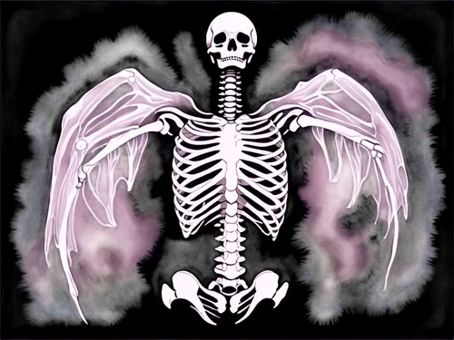 skeletal,skeleton,skelemani,angel of death,skelly,deathbird,sternum,png transparent,metastatic,halloween background,caduceus,halloween frame,spinal,bones,occipital,xray,skeletonized,ercp,skelley,boneparth,Illustration,Paper based,Paper Based 30