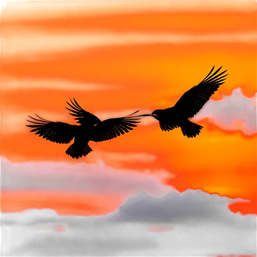 birds in flight,bird flight,macaws,flying birds,birds flying,macaws on black background,soar,sunrise flight,condors,wingbeats,black hawk sunrise,birds of prey-night,skylarks,colorful birds,white storks,crested terns,fire birds,phoenixes,rapace,caracaras,Conceptual Art,Fantasy,Fantasy 04