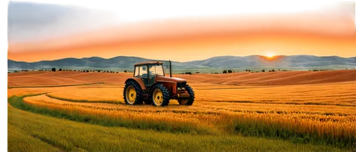 agricultural machinery,agricolas,farm tractor,durum wheat,aggriculture,agricultural engineering,agrobusiness,agriculture,tractor,wheat crops,agroindustrial,agroculture,agco,agribusinesses,combine harvester,agriprocessors,wheat field,agribusinessman,agriculturist,haymaking,Illustration,Abstract Fantasy,Abstract Fantasy 19