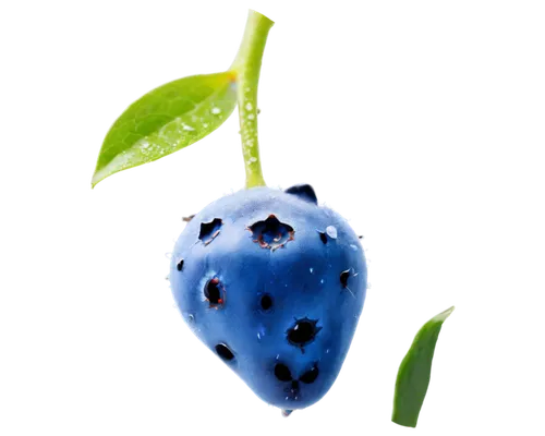 bilberry,blueberry,blueberries,dewberry,berry fruit,pitahaya,nannyberry,mollberry,guarana,wall,aaa,pitaya,atropa belladonna,frutta martorana,serrano pepper,pitahaja,bayberry,holly blue,cherimoya,malagueta pepper,Illustration,Realistic Fantasy,Realistic Fantasy 22