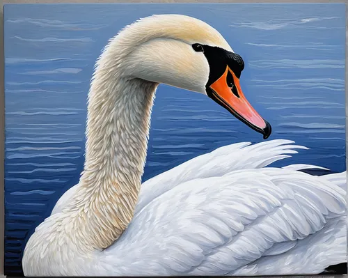 Mute swan portrait, oil painting, ornithological art, Shannon Reynolds,tundra swan,trumpeter swan,trumpeter swans,swans,swan pair,mute swan,canadian swans,constellation swan,swan,cygnet,the head of th