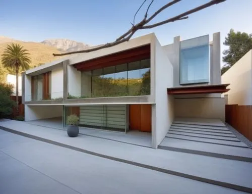 a modern style house with stone stairs and planters,mid century house,modern house,dunes house,neutra,modern architecture,palm springs,mid century modern,fresnaye,eichler,shulman,stucco wall,modern st