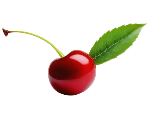 Cherry, transparent background, shiny red skin, green leaves, juicy flesh, stem attached, slightly tilted, soft lighting, 3/4 composition, macro shot, shallow depth of field, vibrant color tone.,bladd