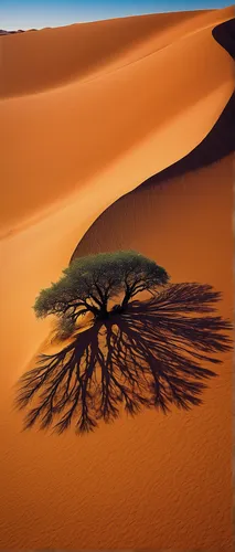 dead vlei,arid,desertification,isolated tree,namib desert,arid landscape,capture desert,argan tree,argan trees,libyan desert,namib,deadvlei,desert desert landscape,desert landscape,lone tree,arid land,desert background,tree and roots,sahara desert,desert flower,Illustration,Abstract Fantasy,Abstract Fantasy 20