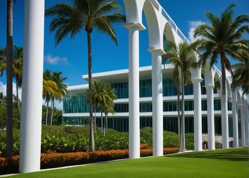 University of Miami School of Architecture, modern building, palm trees, sunny day, blue sky, white columns, glass windows, stone walls, lush greenery, tropical landscape, people walking in the backgr