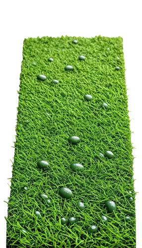 artificial grass,fieldturf,turfgrass,astroturf,block of grass,bentgrass,green wallpaper,grass golf ball,green lawn,golf lawn,ryegrass,aaaa,green grass,turf,zoysia,quail grass,paspalum,grass blades,halm of grass,poa,Illustration,Realistic Fantasy,Realistic Fantasy 17