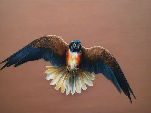 bird painting,eagle drawing,bird flying,eagle illustration,galliformes,eagle,bird in flight,hawk - bird,sea head eagle,falco peregrinus,oil painting,red tailed kite,gouldian,an ornamental bird,falconiformes,flying hawk,perico,bird perspective,oil painting on canvas,african eagle,Illustration,Paper based,Paper Based 04