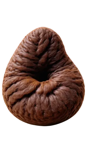 Brown poop, rounded shape, glossy surface, detailed texture, solo, center composition, shallow depth of field, warm color tone, soft lighting, realistic rendering, isolated on transparent background.,