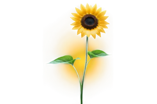 small sun flower,sunflower lace background,flowers png,helianthus,woodland sunflower,sunflower,helianthus occidentalis,flower illustrative,helianthus sunbelievable,sun flower,yellow gerbera,rudbeckia,stored sunflower,yellow flower,helianthus annuus,flower illustration,flower background,sunflower paper,helianthus tuberosus,sunflowers in vase,Conceptual Art,Sci-Fi,Sci-Fi 04