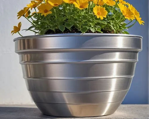 pot marigold,terracotta flower pot,flower pot holder,flower pot,flowerpot,wooden flower pot,garden pot,plant pot,flower pots,golden pot,planter,sunflowers in vase,potted flowers,androsace rattling pot,flowerpots,plant pots,potted plant,container plant,spring pot drive,funeral urns,Photography,General,Realistic