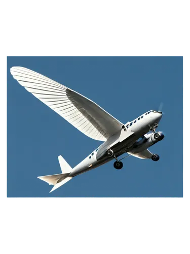 flightaware,aeroplane,webjet,airtours,sairgroup,airservices,valuair,globalflyer,aeromexico,fixed-wing aircraft,aeronautical,metrojet,erj,aeritalia,naviair,aerolinea,aeroflex,birgenair,aircaft,airfares,Photography,Black and white photography,Black and White Photography 13