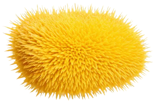 dandelion background,dandelion parachute ball,dandelion flower,dandelion,chrysanthemum background,marmosa,common dandelion,pappus,pollen,chrysanthemum,taraxacum,koosh,pompons,dandelion seeds,celestial chrysanthemum,dandelions,helianthus,helichrysum,straw flower,dandelion field,Photography,Artistic Photography,Artistic Photography 11