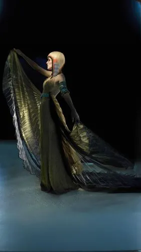 black macaws sari,mourning swan,queen of the night,miss circassian,the snow queen,drape,caped,flamenco,tilda,cloak,costume design,fantasia,shawl,fashion design,tanoura dance,flying carpet,tulle,dark a