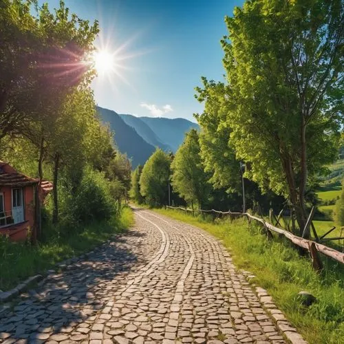 aaaa,aaa,carpathians,pathway,country road,tree lined path,romania,online path travel,the mystical path,dirt road,south tyrol,buencamino,aa,mountain road,landscape background,road through village,stone wall road,strade,alpine route,asphalt road