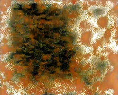 cytokeratin,tree texture,marpat,batik,sebatik,biofilm,bryophyte,dermatophytes,autumn leaf paper,autumn pattern,watercolour texture,terrazzo,leaves frame,flora abstract scrolls,background ivy,textile,tree bark,lichen,sphagnum,eclogite,Art,Classical Oil Painting,Classical Oil Painting 12