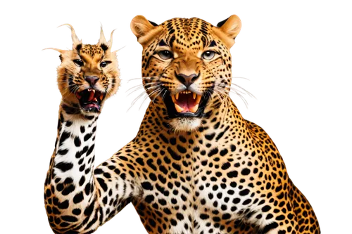 gepard,cheetahs,leopards,felids,cheetor,cheeta,genets,ocelots,derivable,leopard,leopardus,chital,acinonyx,jaguars,cheetah and cubs,jaguares,cheetah,leopardskin,panthera,exotic animals,Illustration,American Style,American Style 10