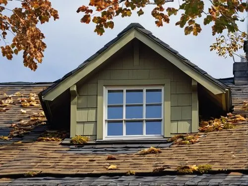 Weathered, rustic, asphalt shingles, 30-year lifespan, worn-out, faded, cracked, curled, buckled, storm-damaged, wind-blown, debris-covered, moss-grown, lichen-infested, peeled-off, ripped-apart, roof