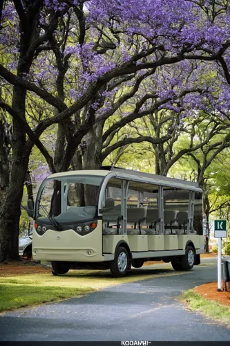 jacaranda trees,optare solo,optare tempo,volvo 700 series,travel trailer poster,neoplan,southern wine route,gmc motorhome,recreational vehicle,checker aerobus,the system bus,skyliner nh22,motorhomes,t