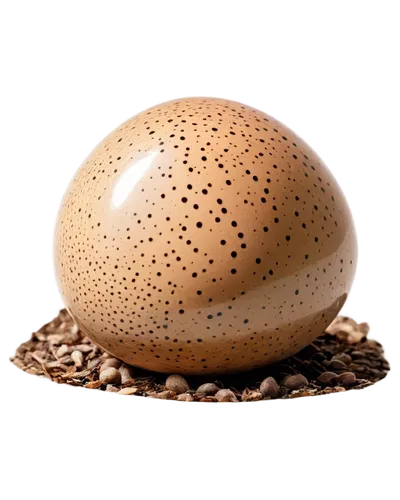 brown egg,egg shell,egg,lycoperdon,large egg,golden egg,bird's egg,zoeggler,bisected egg,painted eggshell,sesame bun,schnegg,mushroom landscape,crystal egg,organic egg,mushroom type,hen's egg,celebensis,brown eggs,forest mushroom,Art,Artistic Painting,Artistic Painting 01