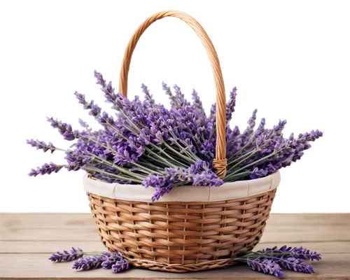 basket with flowers,lavandula,lavender oil,lavender flower,flowers in basket,vintage lavender background,the lavender flower,flower basket,lavender flowers,lavander products,lavender bunch,grape hyacinths,lavenders,lavender cultivation,basket wicker,wicker basket,grape hyacinth,lavendar,lavender,wicker baskets,Art,Classical Oil Painting,Classical Oil Painting 43