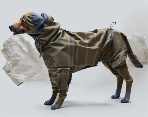 dog coat,boerboel,kawakubo,stafford mongrel,barkdoll,airedale