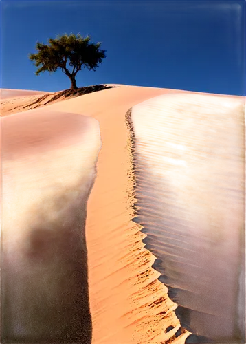 namib desert,namib,dune landscape,sand dune,admer dune,libyan desert,sand dunes,shifting dune,namib rand,crescent dunes,shifting dunes,the sand dunes,dunes,moving dunes,deserto,dead vlei,namibia,white sands dunes,pink sand dunes,arid landscape,Conceptual Art,Daily,Daily 09