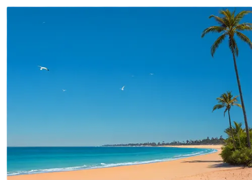 Beach scene, sunny day, turquoise ocean waves, sandy shore, palm trees swaying, seagulls flying overhead, clear blue sky, warm sunlight, soft focus, shallow depth of field, 3/4 composition, relaxed at