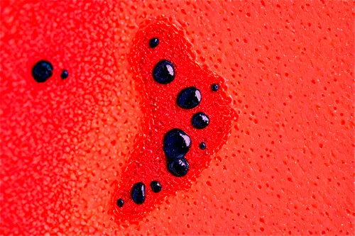 seven-dot ladybug,rivets,coccinellidae,climbing wall,bullet holes,paint spots,ladybirds,ladybugs,holes,pegboard,red wall,on a red background,bullet hole,grommets,eyelets,orange dots,thumbtacks,devil wall,escutcheons,screws,Art,Artistic Painting,Artistic Painting 39