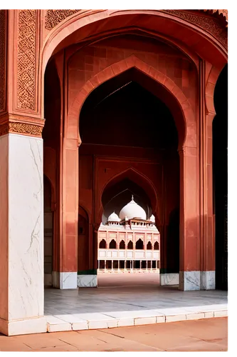 shahi mosque,agra,pink city,taj-mahal,said am taimur mosque,islamic architectural,taj mahal,grand mosque,build by mirza golam pir,mosques,tajmahal,islamic pattern,new delhi,taj,delhi,marrakesh,classical architecture,masjid,alabaster mosque,terracotta,Illustration,American Style,American Style 08